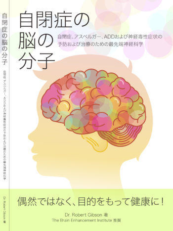 Dr. Gibson Autism e-book