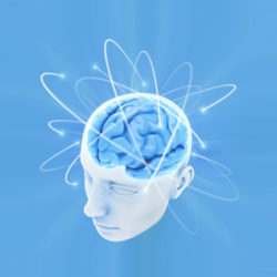 Dr. Gibson Brain Enhancement Video Course